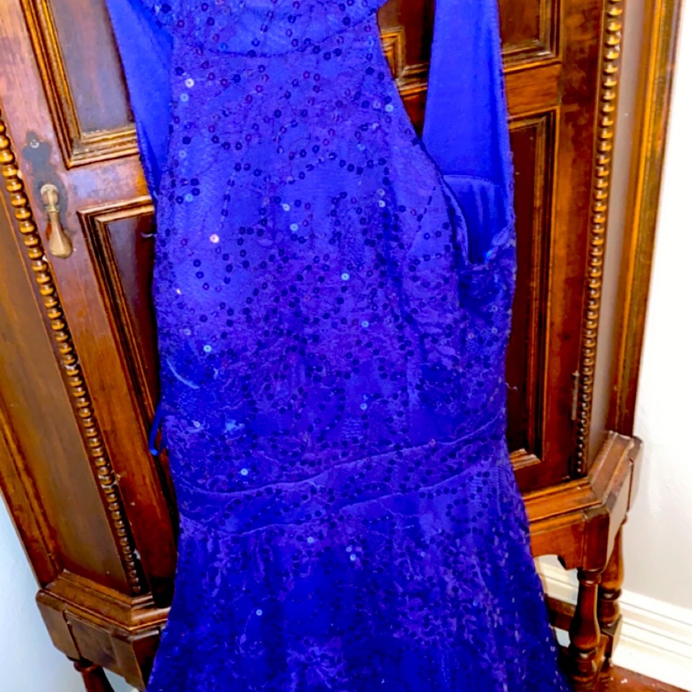 Hey y’all I’m selling a blue school dance dress